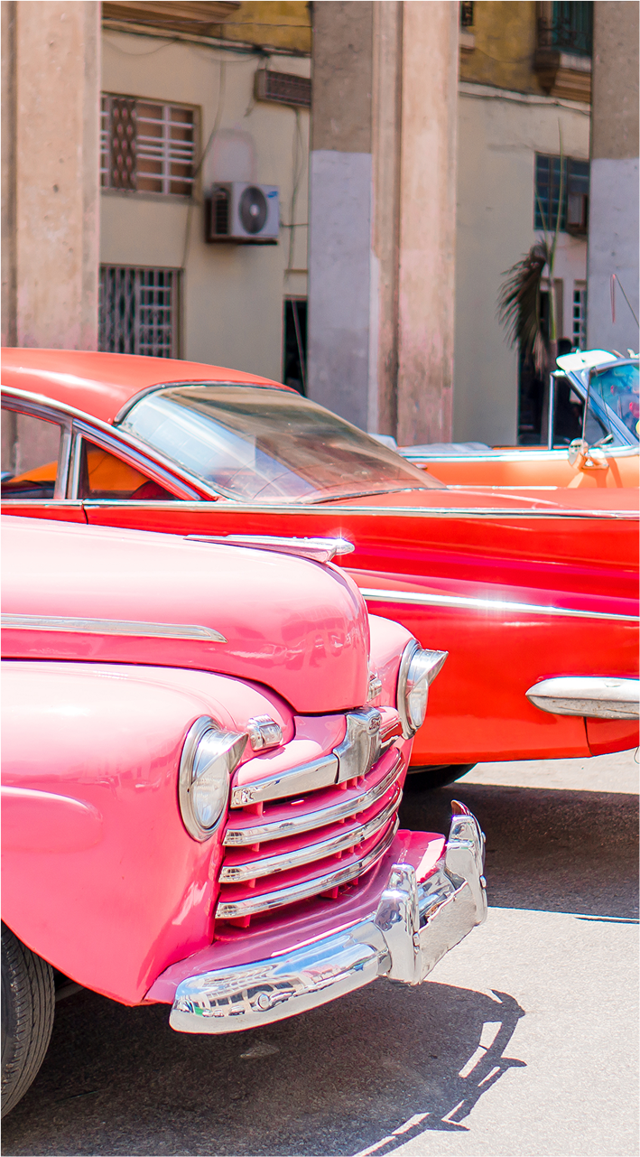 Membership Software for Car Clubs